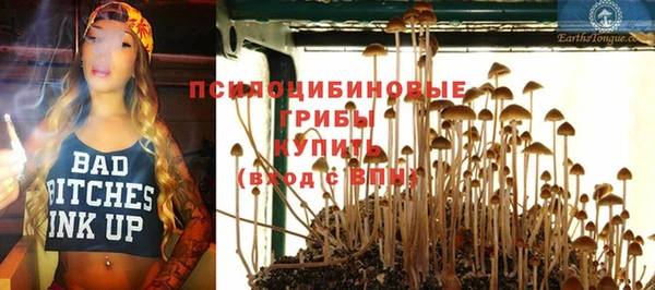 ALPHA-PVP Верея