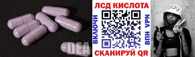 darknet телеграм  Поворино  ЛСД экстази кислота 