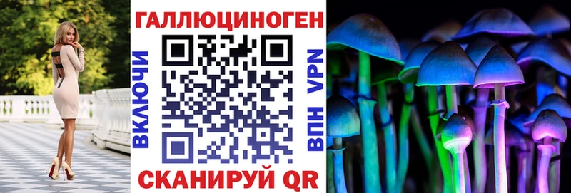 OMG tor  Поворино  Псилоцибиновые грибы прущие грибы 